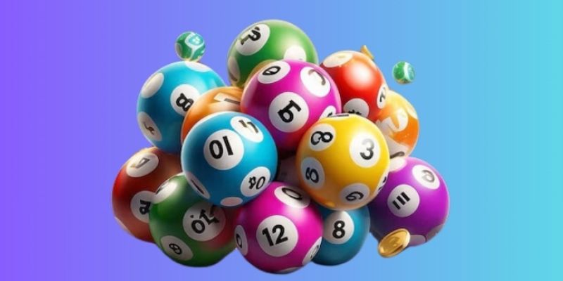 Tìm hiểu cách nuôi bạch thủ lô hiệu quả