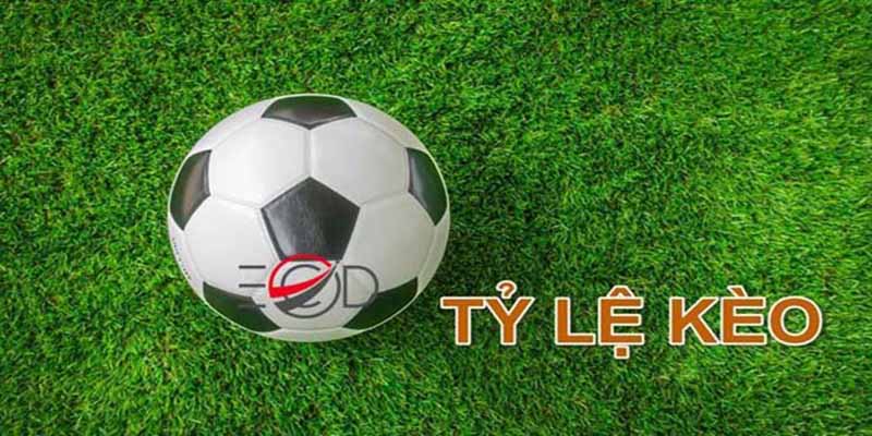 Tham khảo 1 số kèo dễ thắng và dễ xuống cược