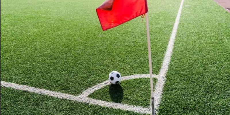 Mẹo nhỏ đặt cược thắng lớn.